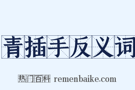 青插手反义词是什么意思的图片